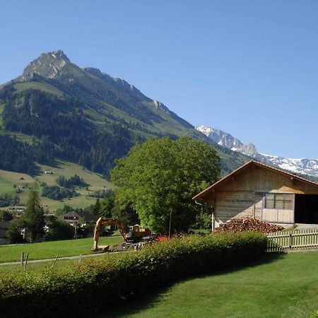 Studio Elsighorn Apartment Frutigen Exterior photo